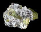 Nice Apatite Crystals In Matrix - Durango, Mexico #33848-1
